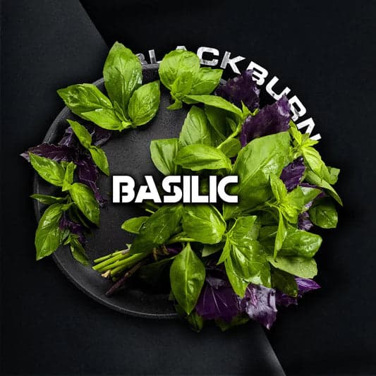 Black Burn Basilic